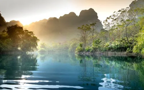 高标准高标准
